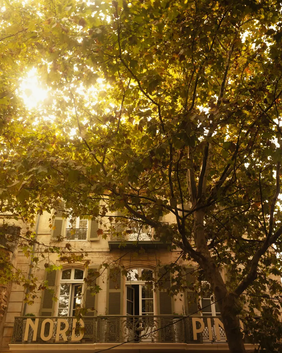 Facade of Grand Hôtel Nord-Pinus in Arles, France